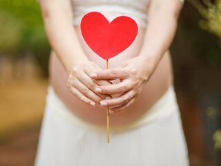 Een draagmoeder vinden via een databank: meerderheid is voor