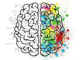 Geloof jij in breinfabeltjes? Grote kans van wel