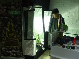 Staatswiet: de Uruguayaanse formule