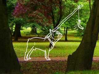 Deze week in de bonus...