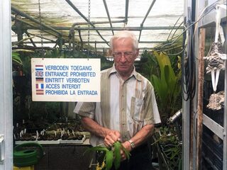 Doorwerken na je pensioenleeftijd: steeds meer ouderen doen het