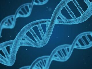 Gentechnologie: een genegeerde revolutie