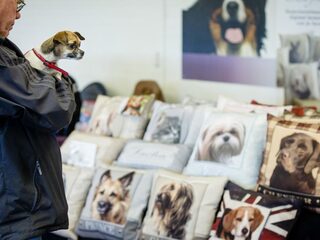 Waarom we soms meer rouwen om een huisdier dan om een mens