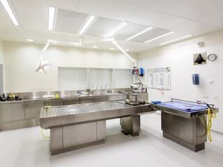 Het Nederlands Forensisch Instituut vervoert lijken voor sectie naar België