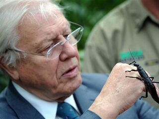 Belazert Sir David Attenborough de boel?