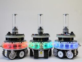 Bekijk hoe deze robots één superorganisme worden
