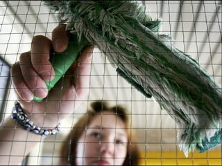 Glazenwassers nemen het tegen elkaar op tijdens het NK Snelglazenwassen