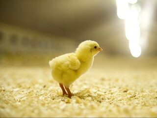 Oproep: reageer met uw verhaal!