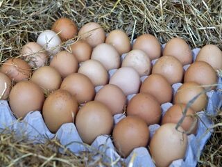 De aanval op de NVWA