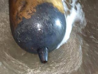 Op Terschelling spoelde een torpedo aan en nu is ie spoorloos