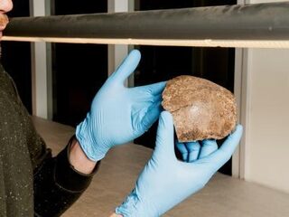 Voor prehistorische schatten moet je in de Noordzee zijn