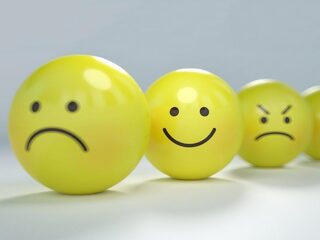 Vraag: Wat verwoordt op dit moment het beste uw gemoedstoestand?