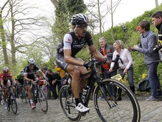 Column: Vlaamse bomen