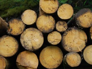 Urgenda: Liever aardgas dan biomassa