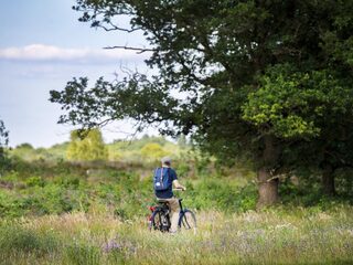 Kleine Natura 2000-gebieden: pareltjes of postzegels?