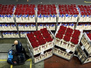 Podcast De Dag: de lovehacks van relatietherapeut Nynke Nijman en Mischa Blok