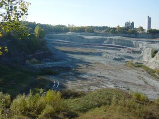Deze fossielen zeggen iets over Nederland in prehistorie