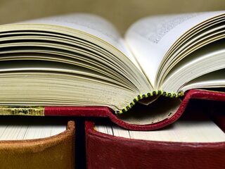 Dennis raast over het land. Tijd voor een boek op de bank