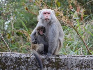Sorry, maar de mens is echt niet zo bijzonder