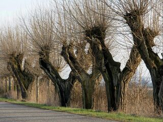 Een landschap herbergt verhalen