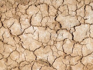 Europese droogtes waren in 2000 jaar niet zo ernstig