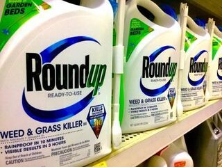 Duizenden kankerpatiënten klagen maker Roundup Monsanto aan in Amerika