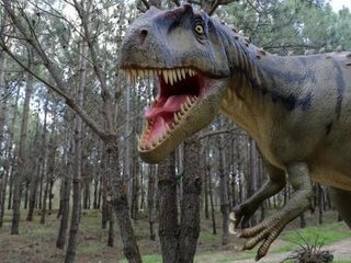 Dino's waren gewone beestjes en geen superkippen