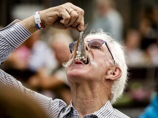 'Haringtest AD is doorgestoken kaart'