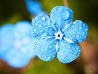 Rutte III was verreweg niet 'het groenste kabinet ooit'