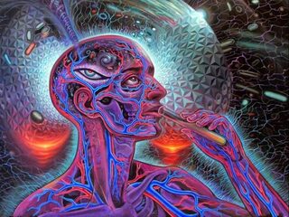 Ayahuasca wordt steeds populairder: wat doet het precies?