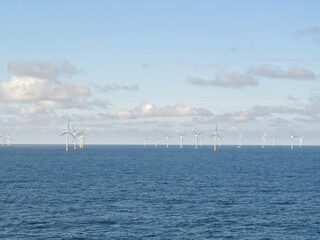Ontwikkeling en herstel van onze prachtige Noordzee natuur
