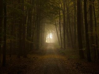 De herfstdip of winterdepressie: wat zegt de wetenschap?