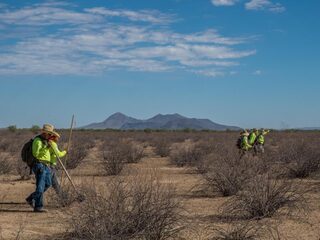 De adelaars van de woestijn
