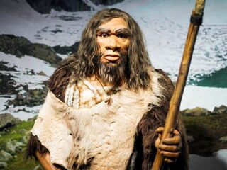 Deze onderzoeker laat de neanderthalers bij bosjes doodgaan