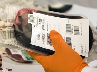 Bloedbank Sanquin test gedoneerd bloed in regio Utrecht op westnijlvirus