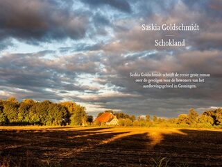 Roman 'Schokland' maakt drama Groningen goed invoelbaar