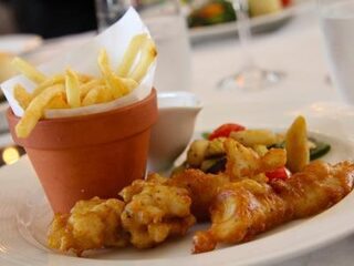 Transvetten kunnen binnen vijf jaar de wereld uit: 'De kennis is er'