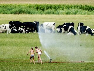 Feit of Fictie: 'Kinderen die opgroeien op een boerderij zijn het allergezondst'