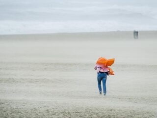 Zondag zware windstoten; oppassen op de weg en in het bos