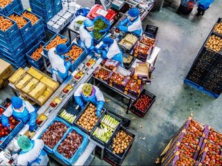 Exportrecord voor Nederlandse landbouw: vooral veel bloemen en vlees