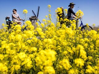 Waarom is Winsum het leukste dorp van Nederland?