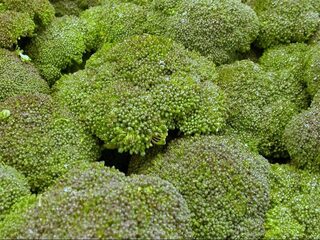 Geen patent op broccoli, verlies van Monsanto