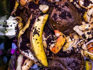 Voorkom voedselverspilling: 'Weet het verschil tussen THT en TGT'