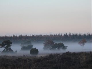 Hoe gemalen steen de door stikstof geteisterde natuur op moet lappen