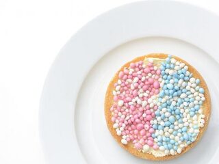 Discovery Day: kom er vandaag achter of je zwanger bent