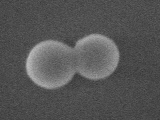 Niets draait sneller rond dan dit nanodeeltje