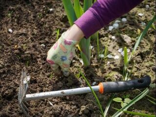 Lekker weer de tuin in: 13 tips om tuin lenteklaar te maken