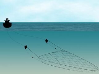 Sleepwet: overheidskers op datarovers-taart