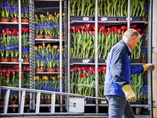 Stand.nl: Nederland moet niet langer de tweede landbouwexporteur van de wereld willen zijn