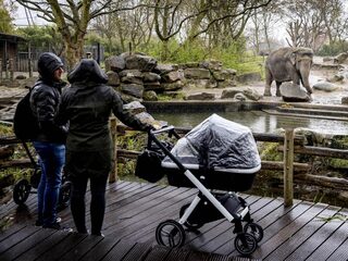 Versoepelingen overmorgen gaan door, kabinet vindt cijfers goed genoeg